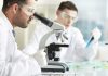 6 große Projekte in der Diabetes-Forschung